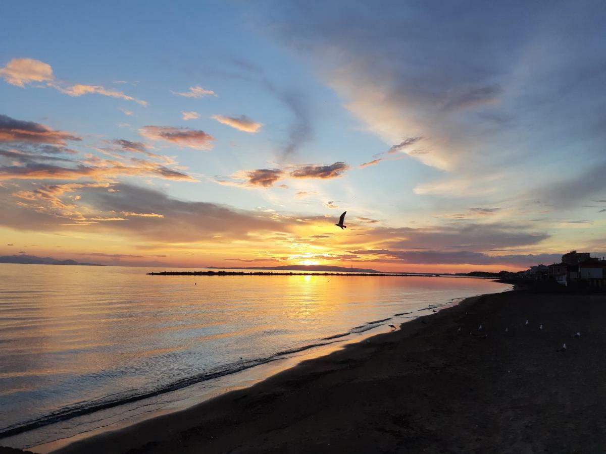 Acquamarina B&B Фоллоніка Екстер'єр фото